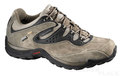 Salomon ELIOS 2 GTX Men swamp/thyme/wood beige