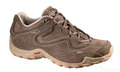 Salomon ELIOS 2 LTR  burro/foundation/partridge