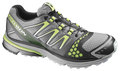 Salomon Schuhe XR Crossmax Guidance alu/black/light green