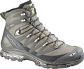 Salomon COSMIC 4D gtx Women marjoram/light grass/black