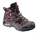 Salomon Comet 3D GTX flea/autobahn/black