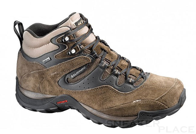 Salomon Botas de caminata ELIOS 2 MID GTX absolute brown/black/b