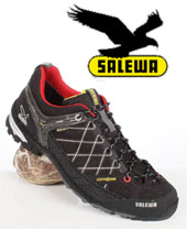 Salewa Firetail Gtx