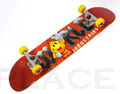 Skateboard Komplettboards