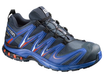 Salomon Xa Pro 3d Gtx Laufschuhe für Herren dunkeblau